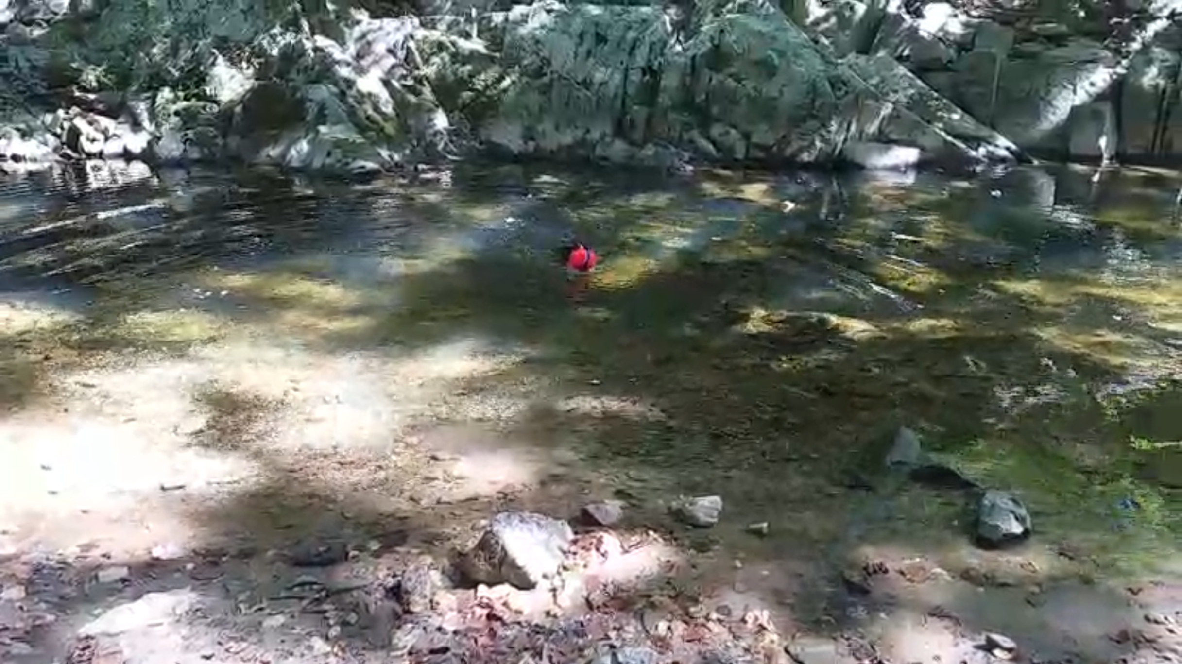 Fetching Giant Ball II